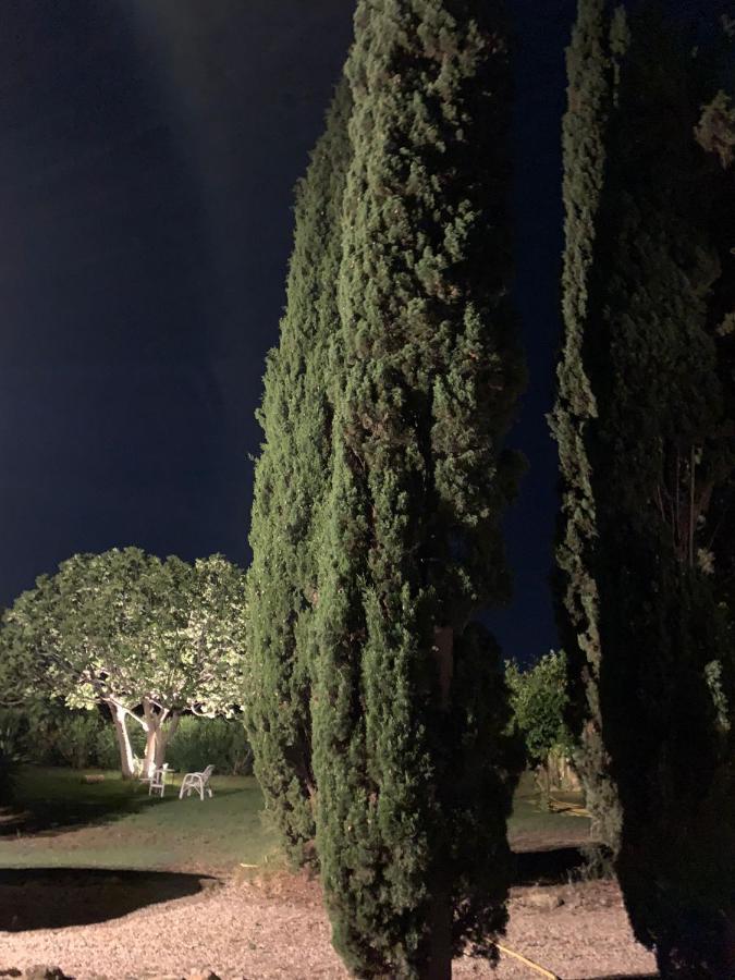 Вилла Casale Degli Ulivi Maccarese Le Cerquete Экстерьер фото
